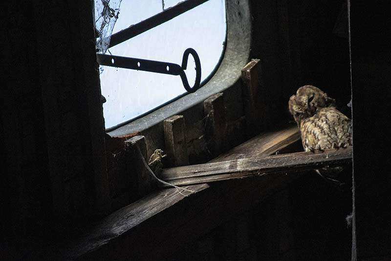 Lost Places .. Verlassene Orte, Entdeckungstour jeden Monat