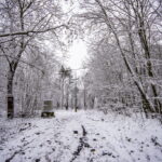 Schnee in Jena. Winterliche Perspektiven.