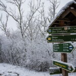 Schnee in Jena. Winterliche Perspektiven.