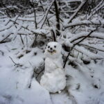 Schnee in Jena. Winterliche Perspektiven.
