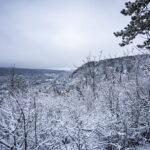 Schnee in Jena. Winterliche Perspektiven.