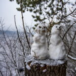 Schnee in Jena. Winterliche Perspektiven.
