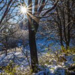 Die Leuchtenburg, winterliche Sichtweisen in Thürigen im Januar 2021
