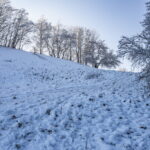 Die Leuchtenburg, winterliche Sichtweisen in Thürigen im Januar 2021