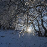 Die Leuchtenburg, winterliche Sichtweisen in Thürigen im Januar 2021