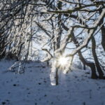 Die Leuchtenburg, winterliche Sichtweisen in Thürigen im Januar 2021