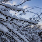 Die Leuchtenburg, winterliche Sichtweisen in Thürigen im Januar 2021