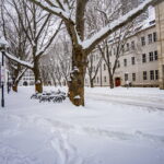 Winter extrem im Fabruar. Jena versinkt im Schnee.