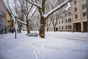 Winter extrem im Fabruar. Jena versinkt im Schnee.