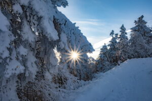#winterwonderland #thuringia