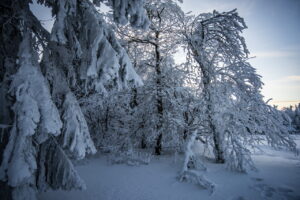 #winterwonderland #thuringia