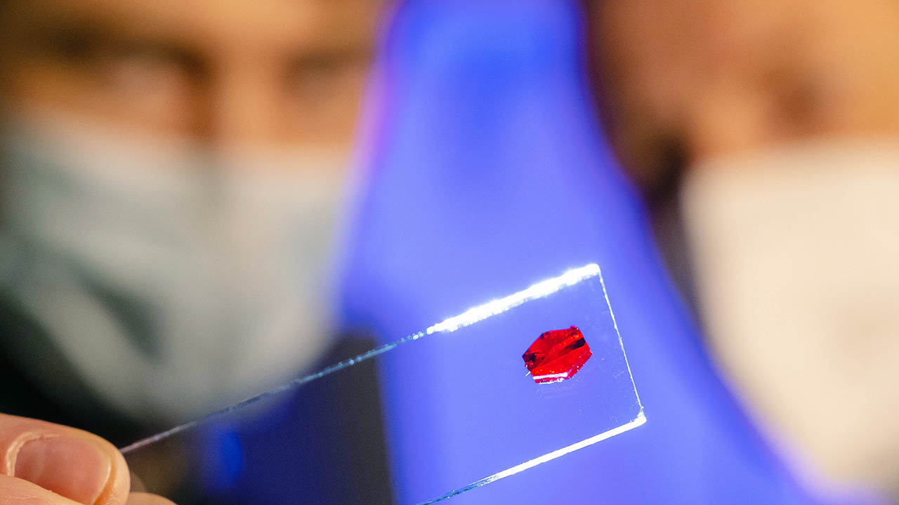 Prof. Dr. Winfried Plass, rechts, und Doktorand Benjamin Kintzel, links, betrachten ein Einkristall eines molekularen Nanomagneten auf einer Glasträgerplatte waehrend der Untersuchung des Spin-Elektrischen Effektes am 19.02.2021 am Lehrstuhl für Anorganische Chemie II an der Friedrich-Schiller-Universität Jena in Jena. Die Arbeiten wurden in Kooperation mit einer Gruppe von Wissenschaftlern aus Florenz durchgeführt. Foto: Jens Meyer/Universität Jena