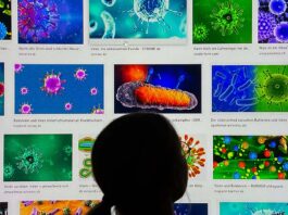 Symbolbild - Inszeniertes Foto! - Eine Frau betrachtet Suchergebnisse, die verschiedene Virusvarianten am 05.07.2021 an einem Bildschirm in Erfurt zeigen. Foto: Jens Meyer/Universität Jena