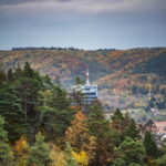 Perückensträucher im Jenaer Mühltal, Fotos: Frank Liebold - Jenafotografx