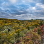 Perückensträucher im Jenaer Mühltal, Fotos: Frank Liebold - Jenafotografx