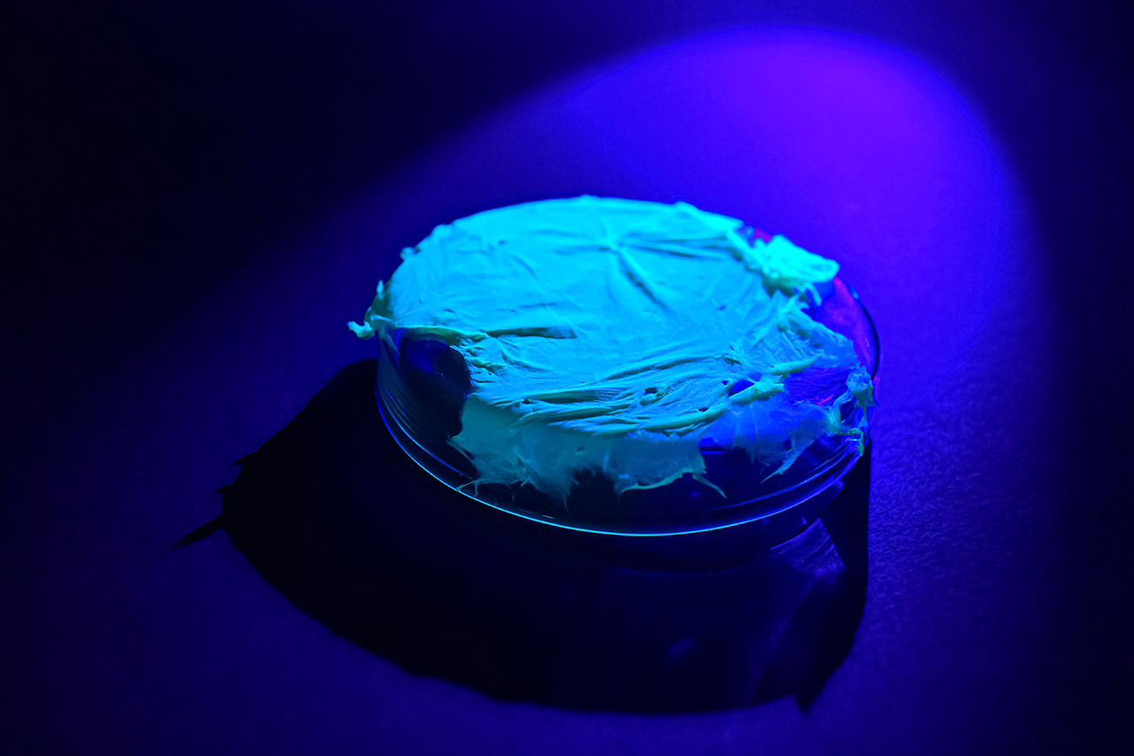 Ein fluoreszierendes Polymervlies.  (Foto: Jürgen Scheere/Universität Jena)