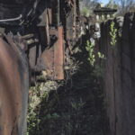 Skurrile Leidenschaft und nostalgisches Flair an verlassenen Orten - gepaart mit sehr viel rustikalen, rostigen Metall, was einst auf Schienen durch die Lande fuhr. Private Loksammlung im brandenburgischen Falkenberg. (Fotos: Frank Liebold // Jenafotografx