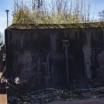 Skurrile Leidenschaft und nostalgisches Flair an verlassenen Orten - gepaart mit sehr viel rustikalen, rostigen Metall, was einst auf Schienen durch die Lande fuhr. Private Loksammlung im brandenburgischen Falkenberg. (Fotos: Frank Liebold // Jenafotografx
