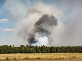 Waldbrandwarnstufe 4 in Jena und Umgebung! Symbolfoto Pixabay