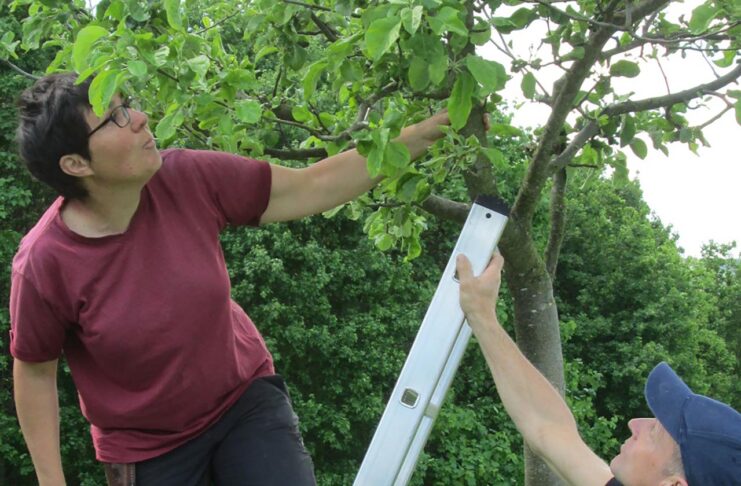 Bürgerstiftung sucht für Obstbaumschnittkurs am 6. April und Sensenkurs am 15. Juni auf der Trüperwiese im Kernberviertel freiwillige Helferinnen und Helfer. Foto: Bürgerstiftung Jena