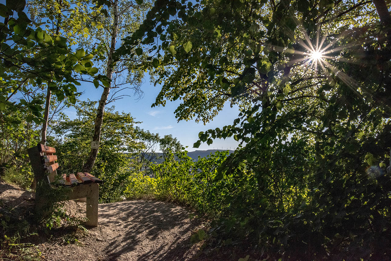 Gemeinsam gegen die Sommerhitze in Jena: Verschattung von Aufenthaltsbereichen, Foto: Frank Liebold, Jenafotografx.de