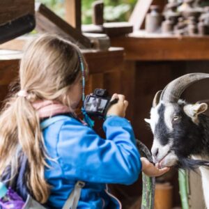 Ferienworkshop für Kinder: 04.08.2025 bis 08.08.2025 DEIN FOTOALBUM TIER UND NATUR. Foto: Künstlerische Abendschule Jena