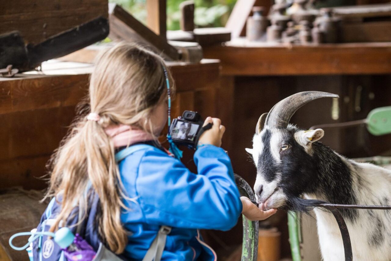 Ferienworkshop für Kinder: 04.08.2025 bis 08.08.2025 DEIN FOTOALBUM TIER UND NATUR. Foto: Künstlerische Abendschule Jena