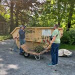 Arbeitseinsatz Johannisfriedhof Jena am 14.06.2025 Foto: Förderverein Johannisfriedhof Jena