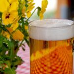 Erlebt die Biergarten-Eröffnung im Paradies Café Jena am 4. Juli! Sommer, kühle Drinks & Snacks in grüner Oase – perfekt für laue Abende. Foto via Pixabay