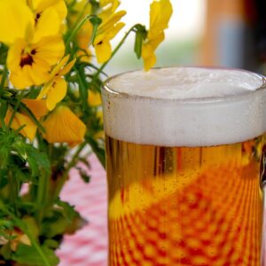 Erlebt die Biergarten-Eröffnung im Paradies Café Jena am 4. Juli! Sommer, kühle Drinks & Snacks in grüner Oase – perfekt für laue Abende. Foto via Pixabay