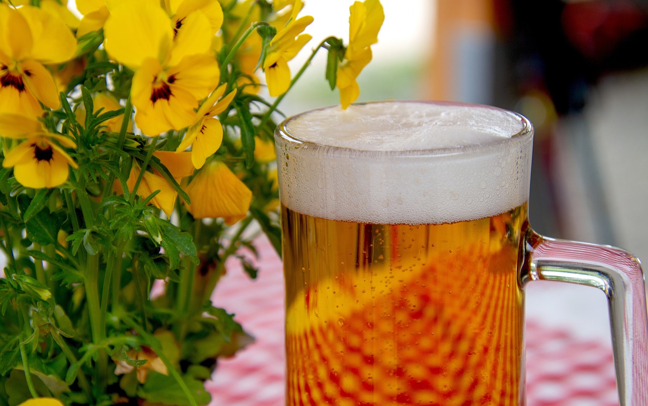 Erlebt die Biergarten-Eröffnung im Paradies Café Jena am 4. Juli! Sommer, kühle Drinks & Snacks in grüner Oase – perfekt für laue Abende. Foto via Pixabay
