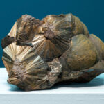 Sonderausstellung Ferber: Mineralienschatz in Jena 2025. Ein Copiapit aus Friedrichroda in Thüringen ist eines der Exponate in der aktuellen Sonderausstellung. Foto: Nicole Nerger (Universität Jena)