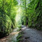 Entdecke die Drachenschlucht bei Eisenach – ein beeindruckendes Natur-Highlight in Thüringen mit Wanderwegen, Schluchten und seltener Flora & Fauna.