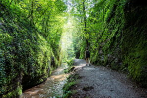 Entdecke die Drachenschlucht bei Eisenach – ein beeindruckendes Natur-Highlight in Thüringen mit Wanderwegen, Schluchten und seltener Flora & Fauna.