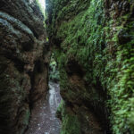 Entdecke die Drachenschlucht bei Eisenach – ein beeindruckendes Natur-Highlight in Thüringen mit Wanderwegen, Schluchten und seltener Flora & Fauna.