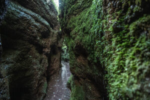 Entdecke die Drachenschlucht bei Eisenach – ein beeindruckendes Natur-Highlight in Thüringen mit Wanderwegen, Schluchten und seltener Flora & Fauna.