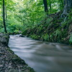Entdecke die Drachenschlucht bei Eisenach – ein beeindruckendes Natur-Highlight in Thüringen mit Wanderwegen, Schluchten und seltener Flora & Fauna.
