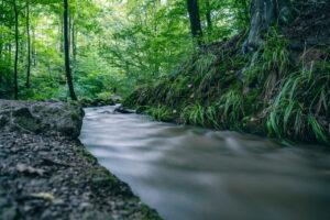 Entdecke die Drachenschlucht bei Eisenach – ein beeindruckendes Natur-Highlight in Thüringen mit Wanderwegen, Schluchten und seltener Flora & Fauna.