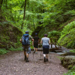 Entdecke die Drachenschlucht bei Eisenach – ein beeindruckendes Natur-Highlight in Thüringen mit Wanderwegen, Schluchten und seltener Flora & Fauna.
