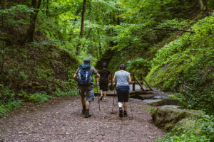 Entdecke die Drachenschlucht bei Eisenach – ein beeindruckendes Natur-Highlight in Thüringen mit Wanderwegen, Schluchten und seltener Flora & Fauna.