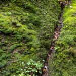 Die Drachenschlucht bei Eisenach zählt zu den beliebtesten Wanderzielen in Thüringen.