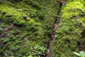 Die Drachenschlucht bei Eisenach zählt zu den beliebtesten Wanderzielen in Thüringen.