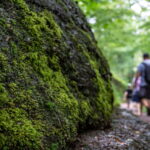 Die Drachenschlucht bei Eisenach zählt zu den beliebtesten Wanderzielen in Thüringen.