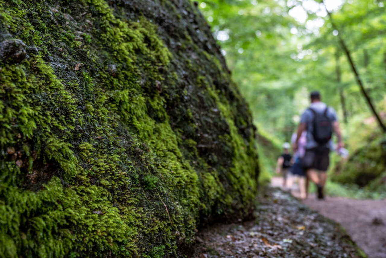 Zwei Haupteinstiege führen in die Drachenschlucht Eisenach
