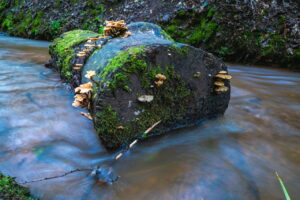 Die Drachenschlucht bei Eisenach zählt zu den beliebtesten Wanderzielen in Thüringen.