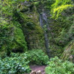 Beeindruckendes Ausflugsziel im Grünen: Rundwanderung durch Drachen- und Landgrafenschlucht