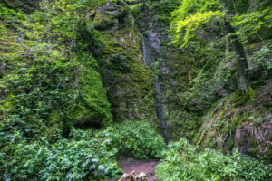Beeindruckendes Ausflugsziel im Grünen: Rundwanderung durch Drachen- und Landgrafenschlucht