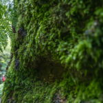 Beeindruckendes Ausflugsziel im Grünen: Rundwanderung durch Drachen- und Landgrafenschlucht