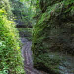 Beeindruckendes Ausflugsziel im Grünen: Rundwanderung durch Drachen- und Landgrafenschlucht