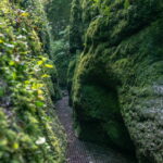 Beeindruckendes Ausflugsziel im Grünen: Rundwanderung durch Drachen- und Landgrafenschlucht